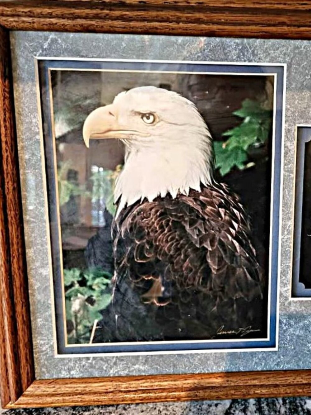 Millcreek Wildlife Reflections Framed Eagle Print with Inspirational Quote